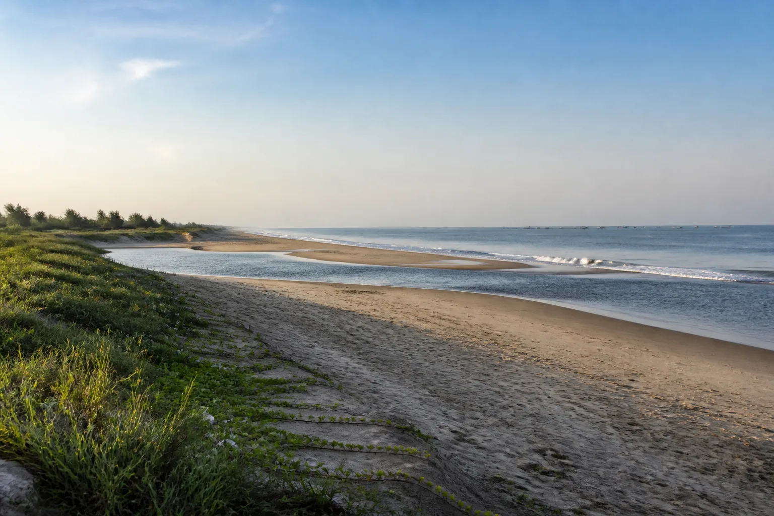 Tamil Nadu shoreline introducing beaches and coastal landscapes