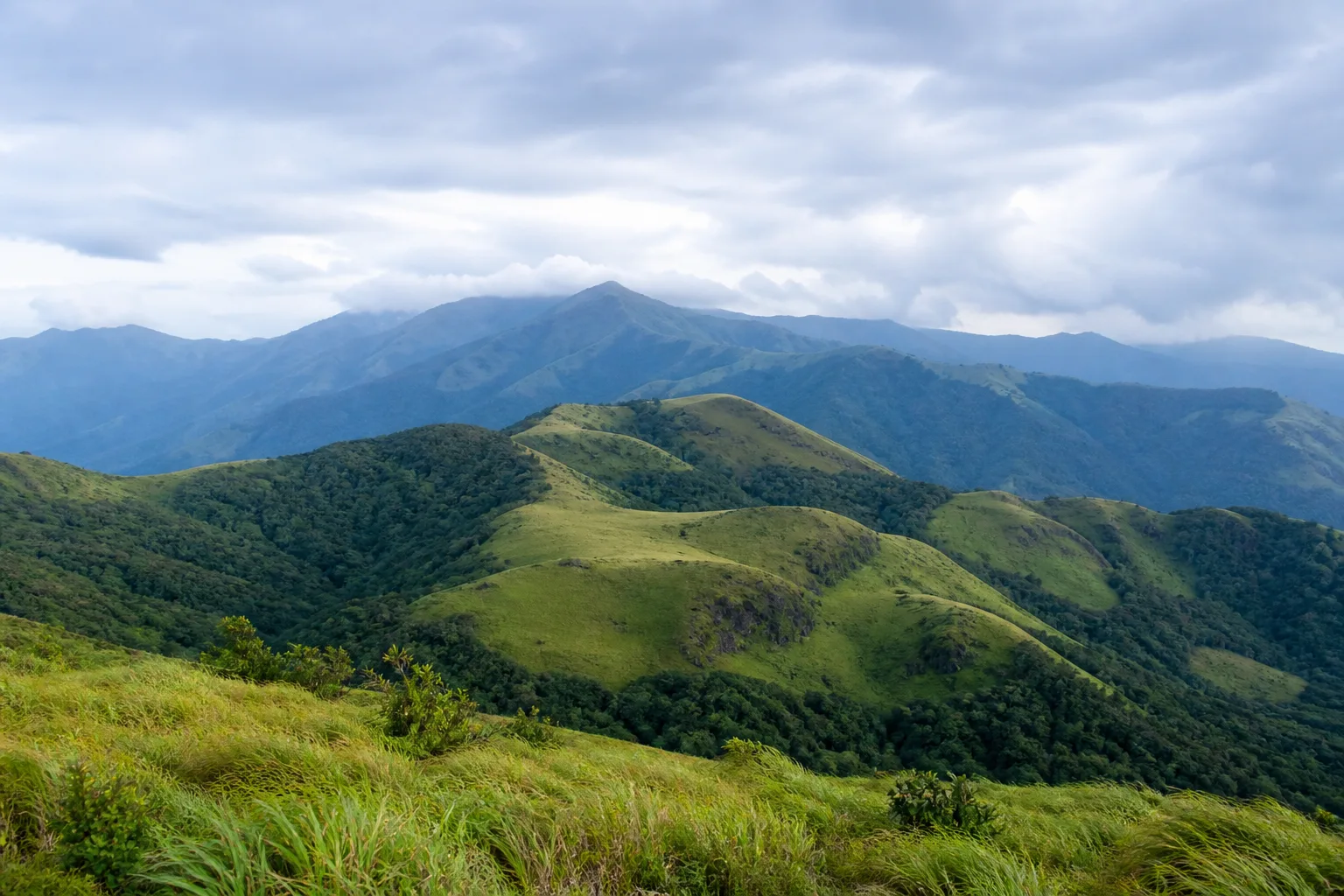 Western Ghats landscape introducing mountains and wildlife